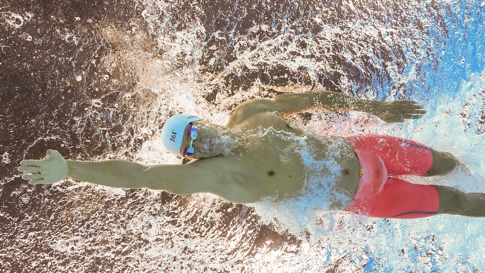 北欧风暴与东方利剑，瑞典队力克葡萄牙，樊振东率队再显王者风范